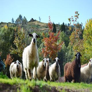 Hotel Quinta Da Mata Chaves Zewnętrze zdjęcie